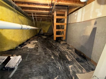 1971 E 103rd Ave, Thornton, CO 80229