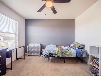914 Charlton Dr, Windsor, CO 80550