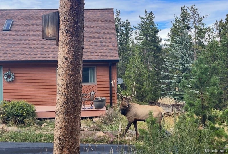 1960 Pine Valley Rd, Evergreen, CO 80439
