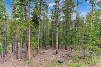 1960 Pine Valley Rd, Evergreen, CO 80439