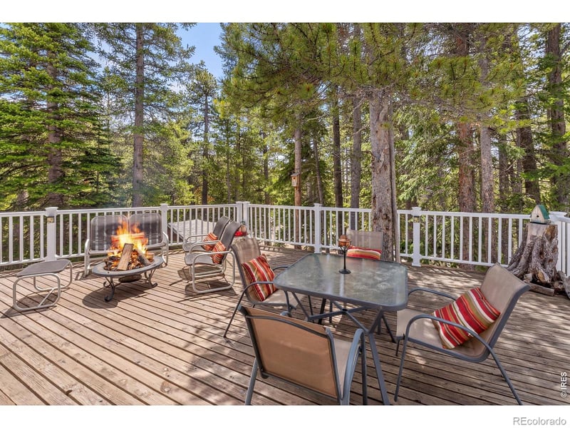 218 Brook Dr, Idaho Springs, CO 80452