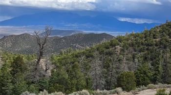 Lot 5505 Balleroy Rd, Fort Garland, CO 81133
