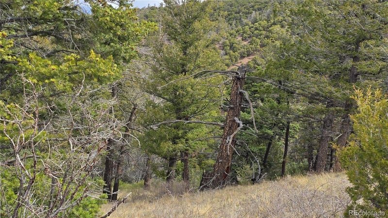 Lot 5505 Balleroy Rd Lot 5505, Fort Garland, CO 81133