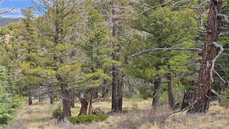 Lot 5505 Balleroy Rd Lot 5505, Fort Garland, CO 81133