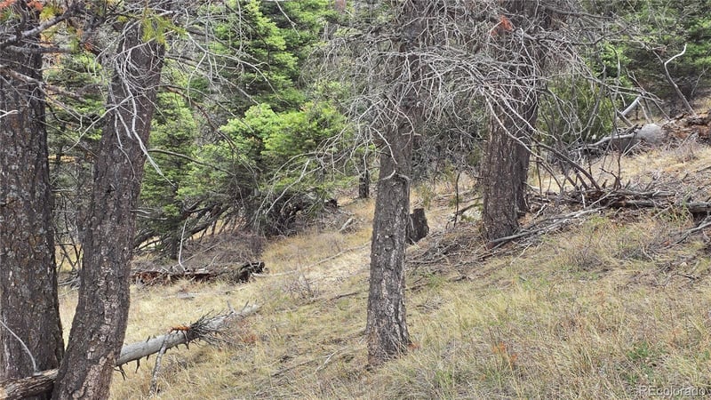 Lot 5505 Balleroy Rd Lot 5505, Fort Garland, CO 81133