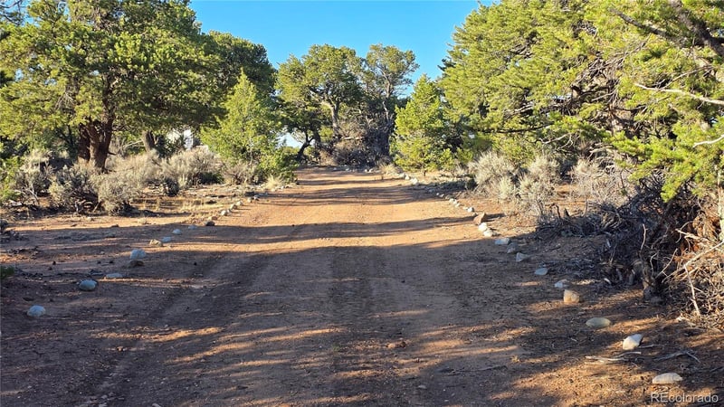 Lot 7313 Butcher Rd, Fort Garland, CO 81133