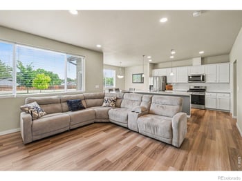 3774 Beech Tree St, Wellington, CO 80549