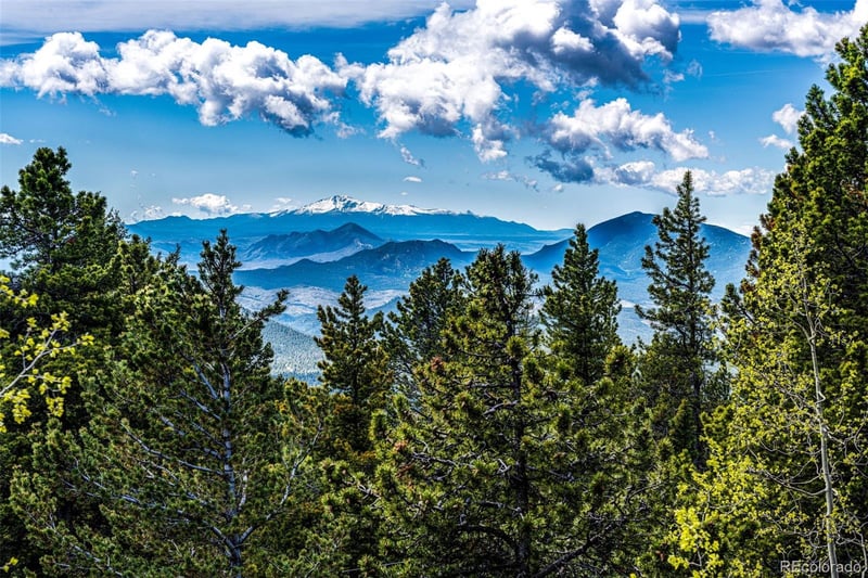 10955 Beas Dr, Conifer, CO 80433