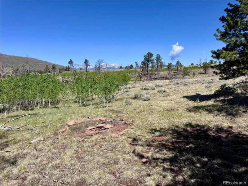 Lot 1102 Emery Loop, Fort Garland, CO 81152