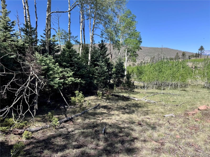 Lot 1102 Emery Loop, Fort Garland, CO 81152
