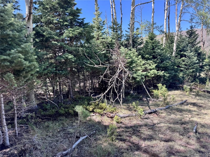Lot 1102 Emery Loop, Fort Garland, CO 81152