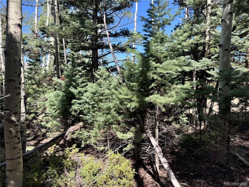 Lot 1102 Emery Loop, Fort Garland, CO 81152