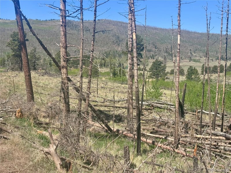 Lot 1102 Emery Loop, Fort Garland, CO 81152