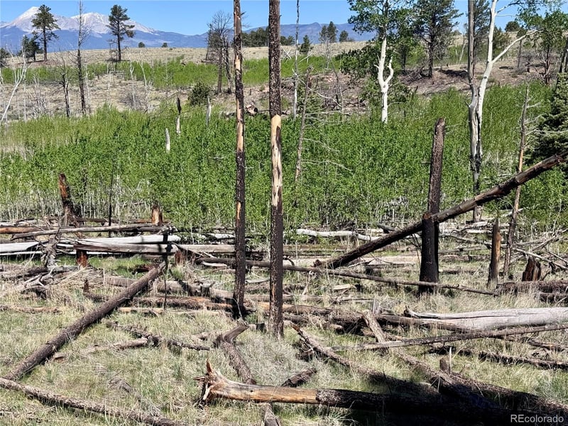 Lot 1102 Emery Loop, Fort Garland, CO 81152