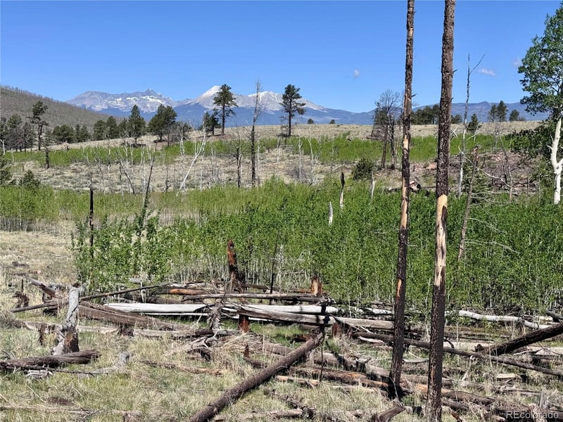 Lot 1102 Emery Loop, Fort Garland, CO 81152