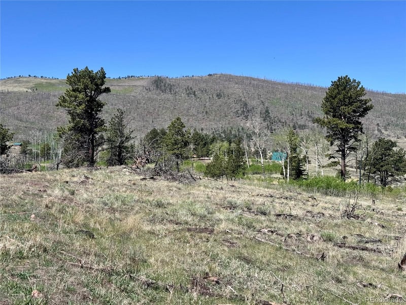 Lot 1102 Emery Loop, Fort Garland, CO 81152