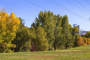 1181 Lowell Ave, Denver, CO 80204