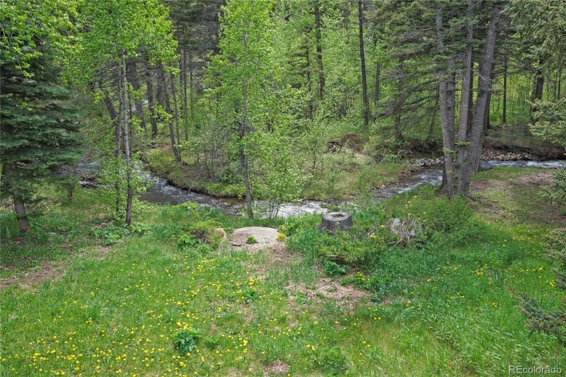 25 Cottonwood Trl, La Veta, CO 81055