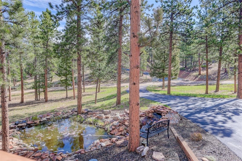 66 Territory Dr, Pine, CO 80470