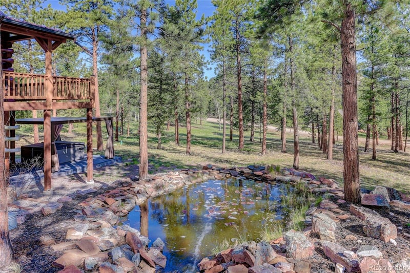 66 Territory Dr, Pine, CO 80470