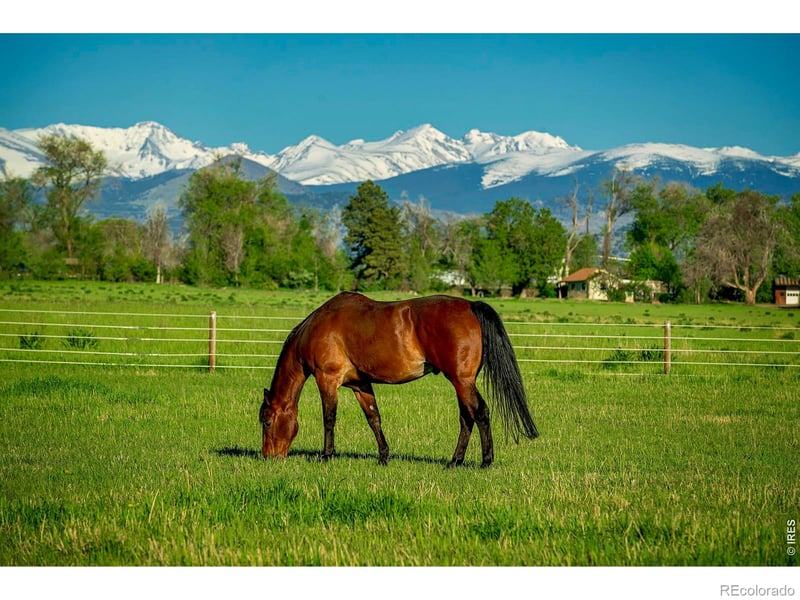 2300 75th St, Boulder, CO 80301