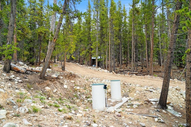 3259 Nugget Rd, Fairplay, CO 80440