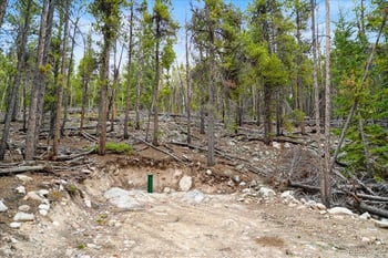 3259 Nugget Rd, Fairplay, CO 80440