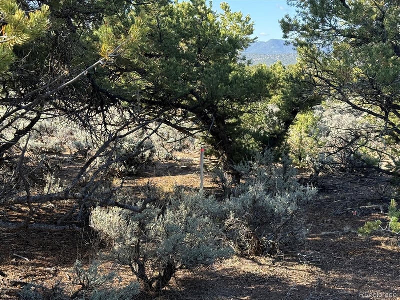 Lot 7067 Waligunda Rd, Fort Garland, CO 81133