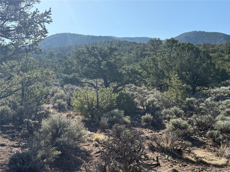 Lot 7067 Waligunda Rd, Fort Garland, CO 81133