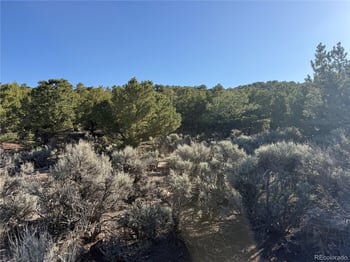 Lot 7067 Waligunda Rd, Fort Garland, CO 81133