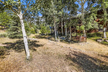 42 Catamount Ridge Rd, Bailey, CO 80421