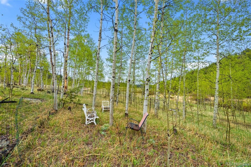522 Hidden Valley Dr, Lake George, CO 80827