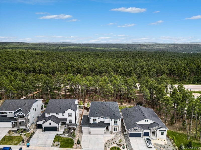 16325 Treetop Glory Ct, Monument, CO 80132