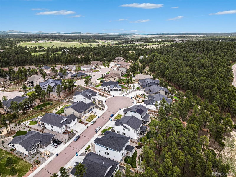 16325 Treetop Glory Ct, Monument, CO 80132