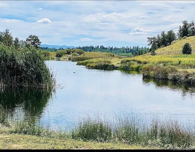 1593 Yellowstone Rd, Hartsel, CO 80449