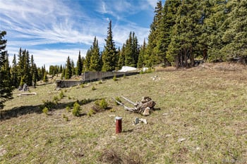 392 Pyrite Pl, Fairplay, CO 80440