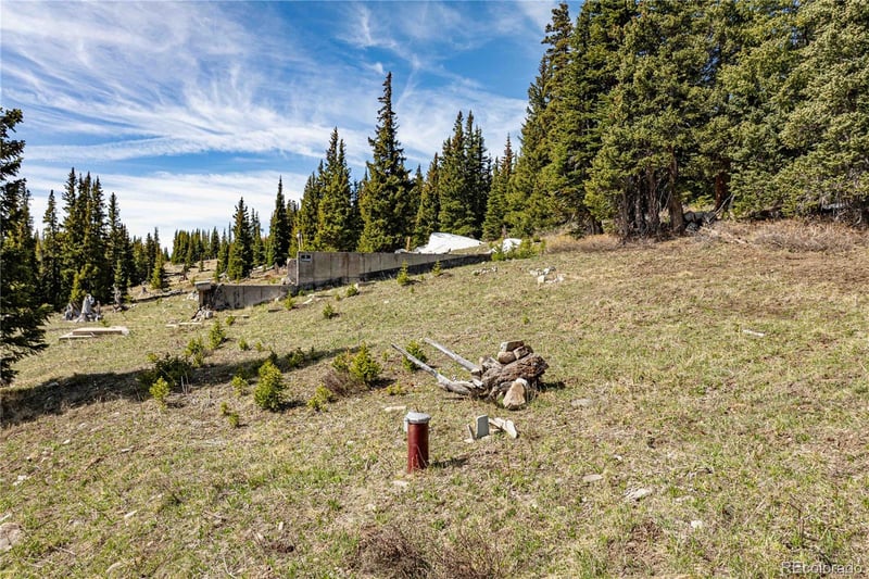 392 Pyrite Pl, Fairplay, CO 80440