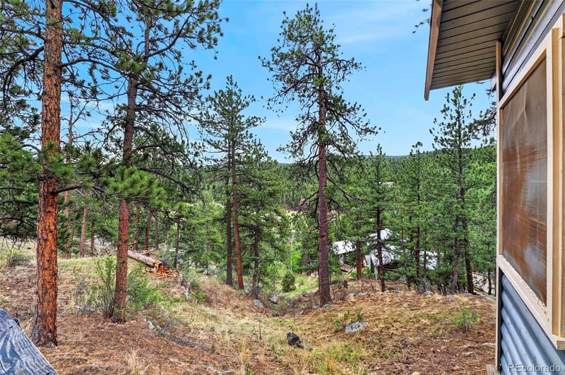 354 Mesa Dr, Evergreen, CO 80439