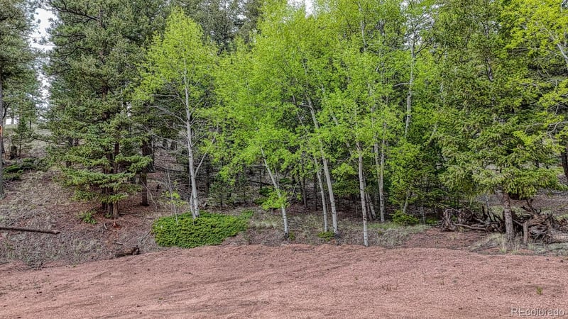918 Pinon Ln, Florissant, CO 80816
