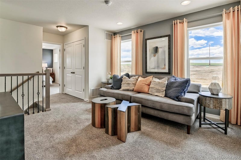 799 Carrie St, Watkins, CO 80137
