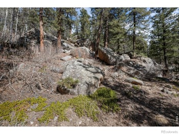 31468 Kings Valley W, Conifer, CO 80433