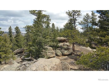 2928 Fox Acres Dr, Red Feather Lakes, CO 80545