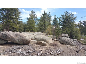 2928 Fox Acres Dr, Red Feather Lakes, CO 80545