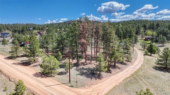 212 Obsidian Dr, Florissant, CO 80816