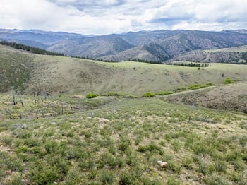 208 Little Bald Mountain Ct, Livermore, CO 80536