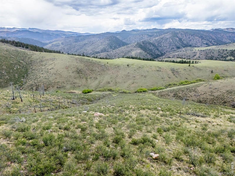 850 Turkey Roost Dr, Livermore, CO 80536