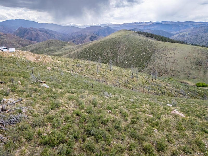850 Turkey Roost Dr, Livermore, CO 80536