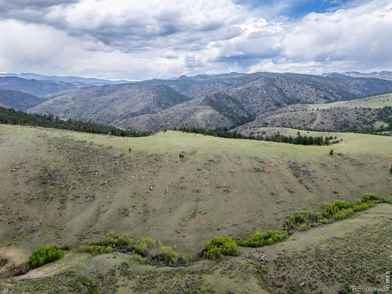 850 Turkey Roost Dr, Livermore, CO 80536