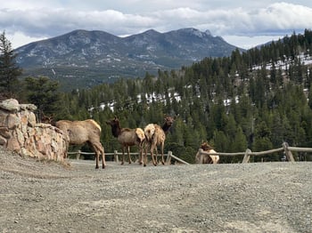 515 Beaver Rd, Nederland, CO 80466