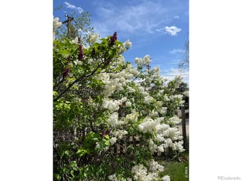 4528 27th Ave, Denver, CO 80212